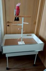 Zitstok standaard voor papegaaien of grote parkieten, Dieren en Toebehoren, Ophalen, Zo goed als nieuw, Kooi-accessoires