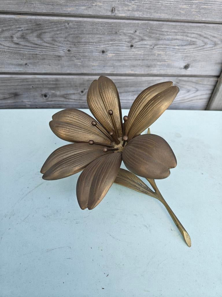 Prachtige lotus asbak, Ophalen