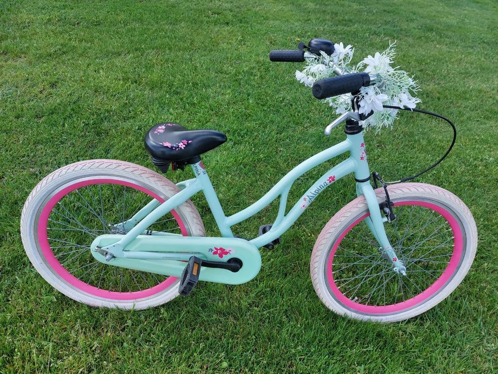 Alpina ocean meisjesfiets 22inch, Ophalen