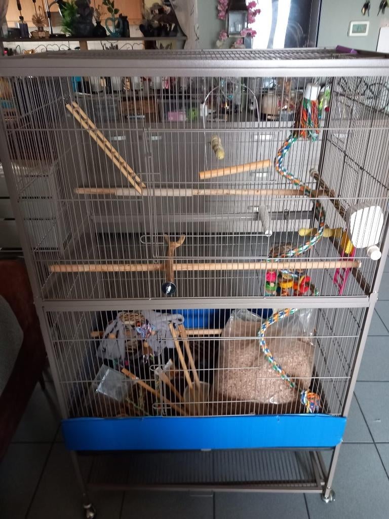 vogelkooi, Ophalen, Zo goed als nieuw, Metaal, Vogelkooi