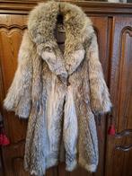 Echte Canadese wolvenjas, Kleding | Dames, Jassen | Winter, Ophalen, Autre, Overige kleuren, Maat 42/44 (L)