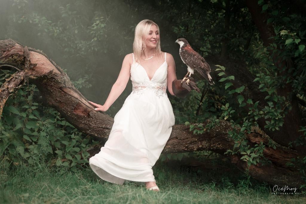 🦉 Shooting photo avec rapace – Expérience nature, Audio, Tv en Foto, Foto | Digitale fotokaders, Ophalen, Nieuw