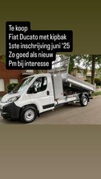 Fiat bestelwagen met kipbak, Articles professionnels, Enlèvement, Transport