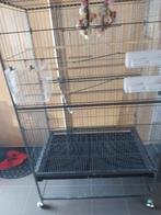 Ruime voliere, Dieren en Toebehoren, Ophalen, Zo goed als nieuw, Metaal, Volière