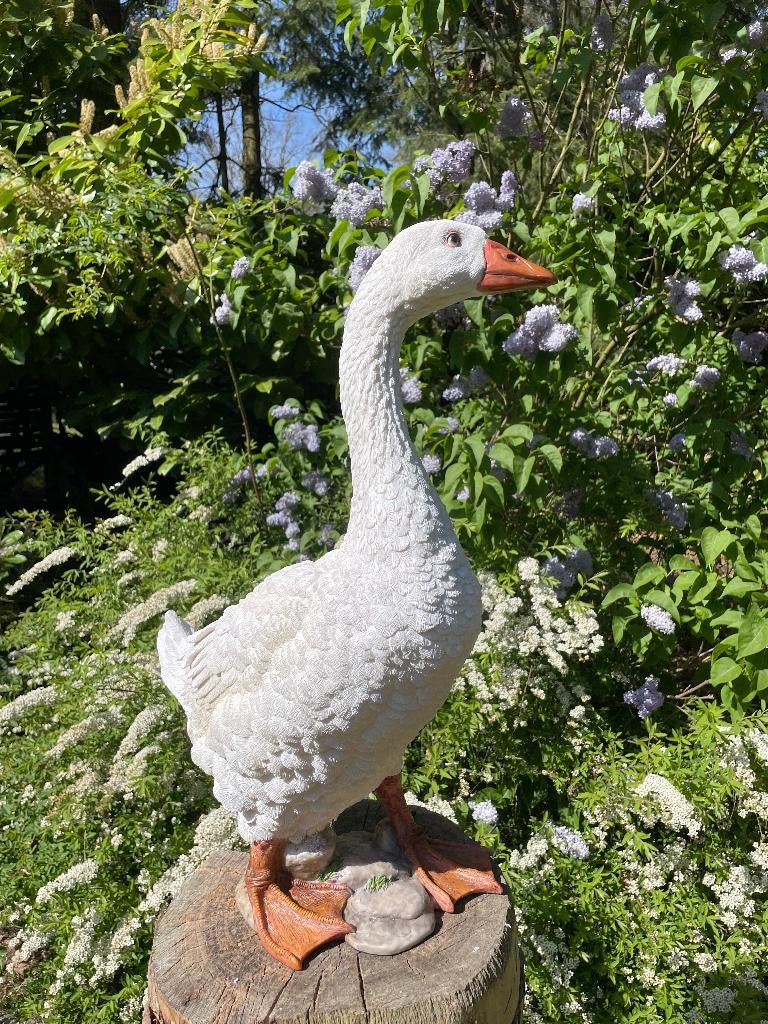 Image Oie blanche, jardin, piscine, étang, ferme 60cm, Jardin & Terrasse, Statues de jardin, Neuf, Animal, Synthétique, Enlèvement