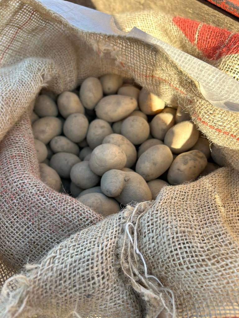 Aardappel plantsoen, Ophalen