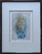 ROGER VAN BELLEGHEM / GEZICHT / ETS-AQUAREL / 41x31cm KADER, Antiek en Kunst, Kunst | Litho's en Zeefdrukken, Ophalen of Verzenden