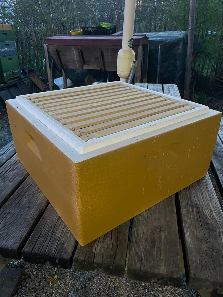 Bijenkast Segeberger diverse maten nieuw, Dieren en Toebehoren, Insecten en Spinnen, Bijen