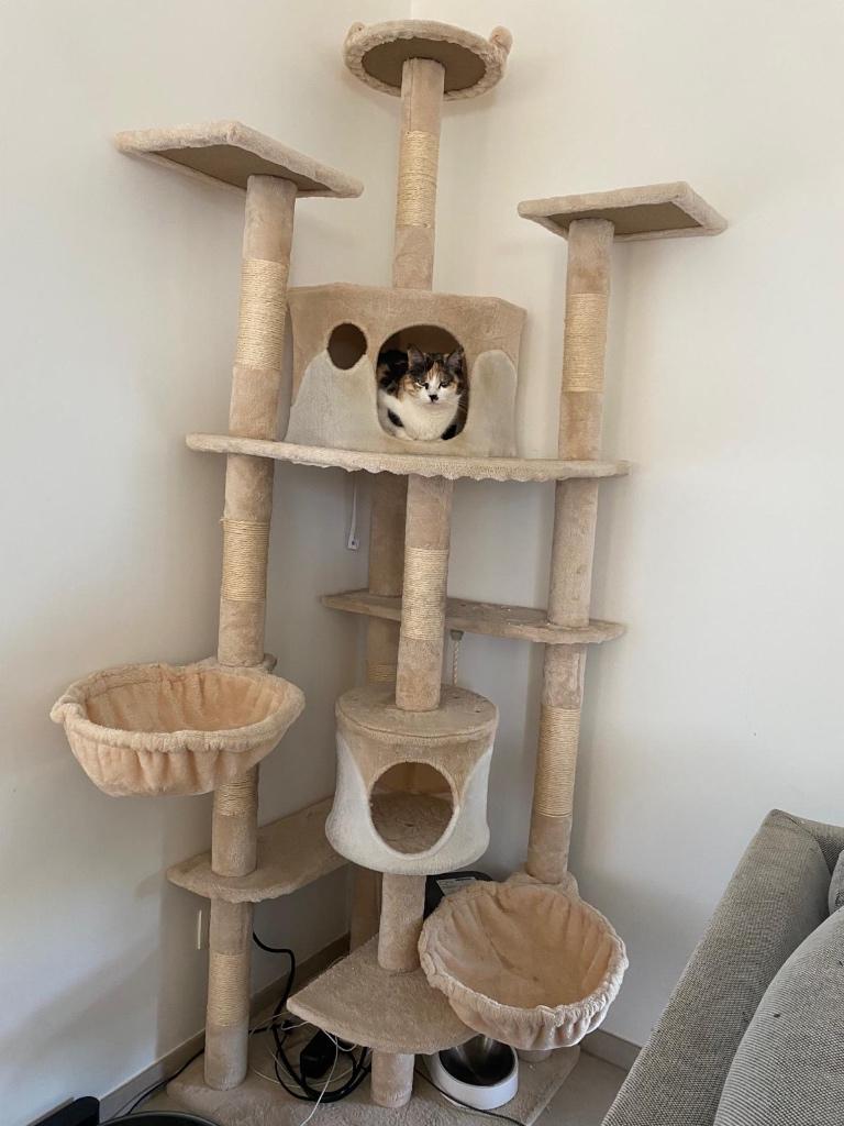 Arbre à chat beige – très complet ( 2 mètres), Animaux & Accessoires, Meubles griffoirs pour chats, Enlèvement, Utilisé, Griffoir