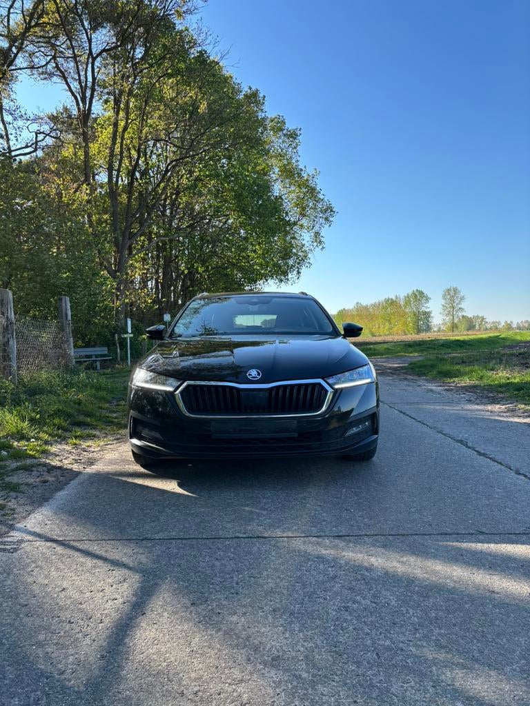 Skoda Octavia 2021 Euro 6D Essence, Autos, Skoda, Cuir, Achat, Euro 6, Noir