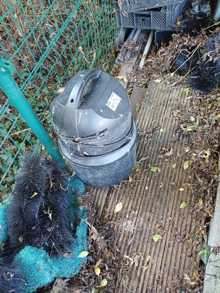 Vijver, Dieren en Toebehoren, Pluimvee