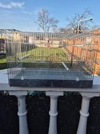 Ijzer kweekooi, Dieren en Toebehoren, Ophalen