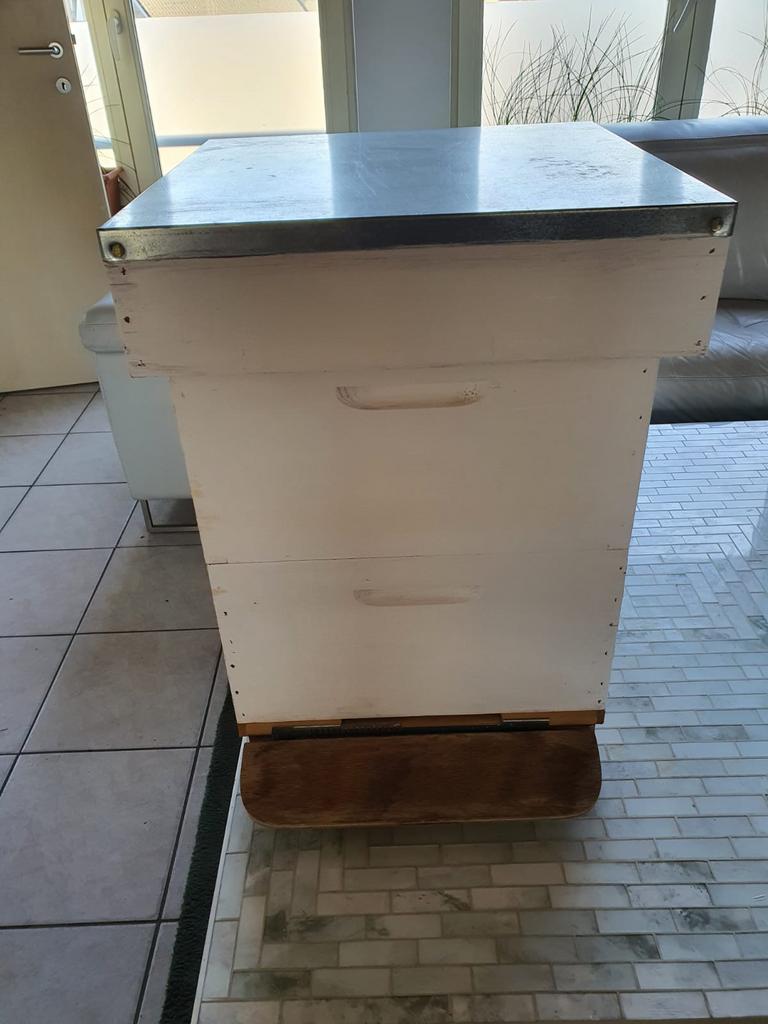 Bijenkast Dadant 11 ramen, Bijen