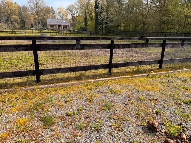 Weidepalen, Ophalen, Gebruikt