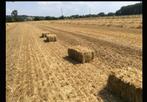 Petites balles de paille de blé, Animaux & Accessoires, Nourriture pour Animaux, Enlèvement, Autres espèces