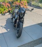 Harley Nightster, Plus de 35 kW, 2 cylindres, Particulier, Naked bike