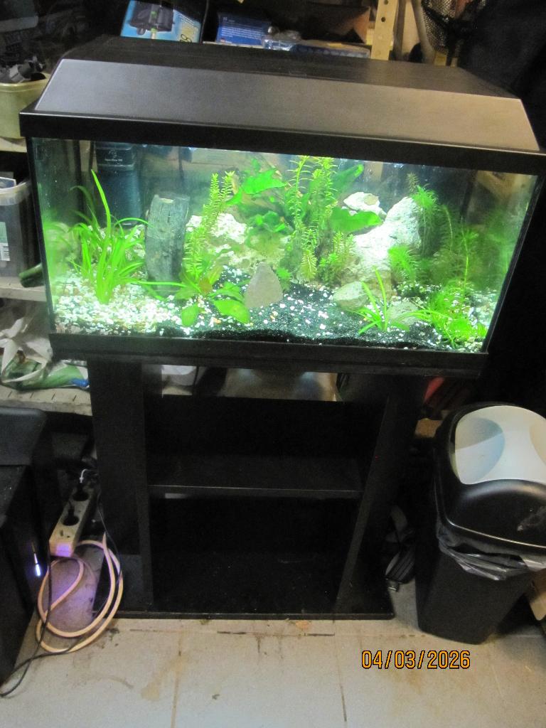 starters aquarium, Enlèvement, Chauffage, Filter