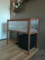 Hamster met kooi wiel en huisje, Dieren en Toebehoren, Ophalen