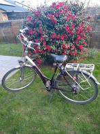 Sparta elektrische fiets, Enlèvement, Sparta