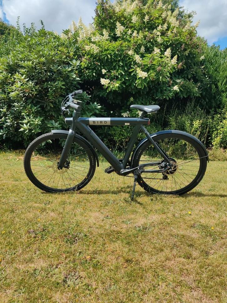 Bird bike A-frame, Fietsen en Brommers, Elektrische fietsen, Zo goed als nieuw, Ophalen