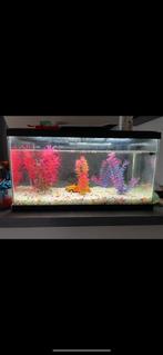 Aquarium te koop, Dieren en Toebehoren, Ophalen, Zo goed als nieuw