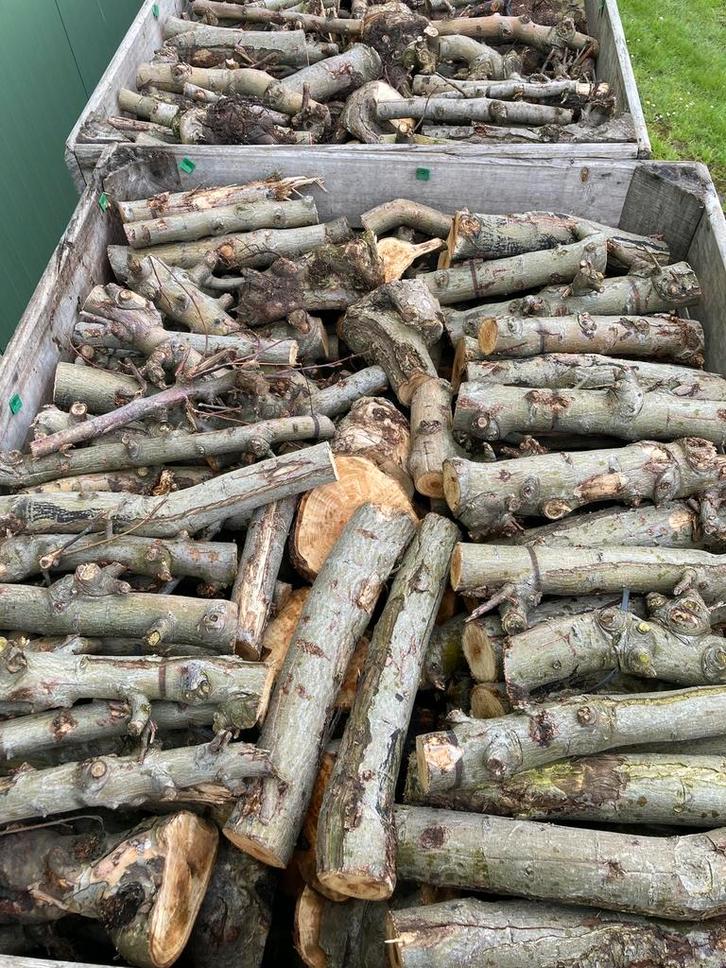 Droog appelbomen brandhout, Tuin en Terras, Brandhout, Blokken, Overige houtsoorten, 6 m³ of meer, Ophalen