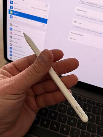 iPad pro 13 inch M4 2024, Computers en Software, Apple iPads, Ophalen, Zo goed als nieuw