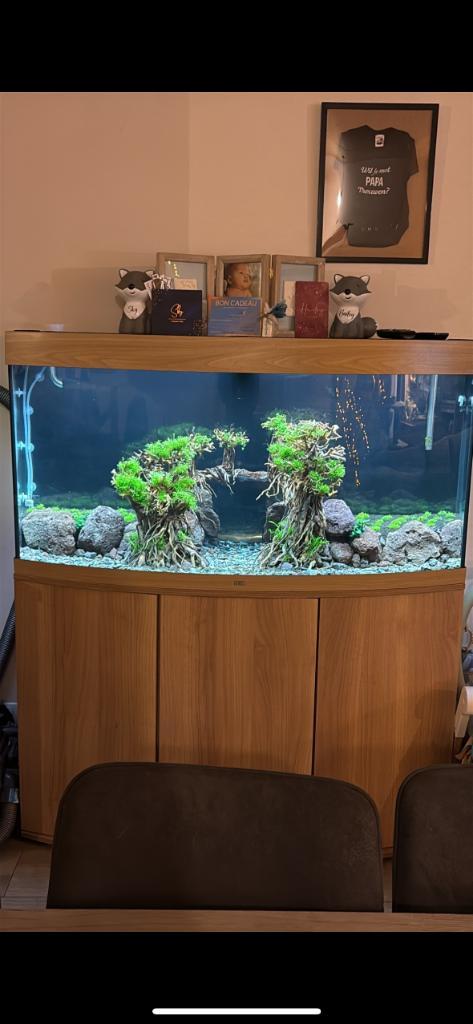 Juwel vision 260 met buiten filter, Dieren en Toebehoren, Vissen | Aquaria en Toebehoren, Zo goed als nieuw, Gevuld zoetwateraquarium