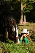 Kindertinker (weidemaatje), Dieren en Toebehoren