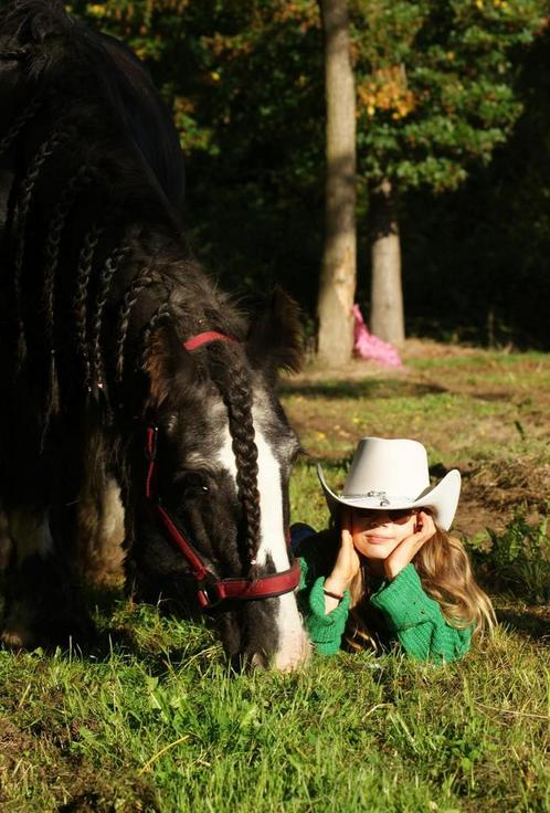 Kindertinker (weidemaatje), Dieren en Toebehoren, Pony's