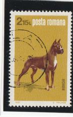 LOSSE  ZEGEL  ROEMENIE -  Boxer, Postzegels en Munten, Postzegels | Thematische zegels, Dier of Natuur, Verzenden, Gestempeld