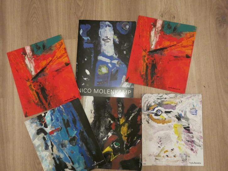 Nico Molenkamp Litho's+catalogus, Antiek en Kunst, Kunst | Litho's en Zeefdrukken, Ophalen of Verzenden