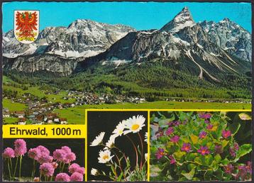 1981 - OOSTENRIJK - Ehrwald: Gruß aus Ehrwald + REUTTE beschikbaar voor biedingen