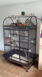 Cage perroquet ARA cage cacatoes cage amazone gris gabon, Verzenden, Nieuw, Metaal, Volière