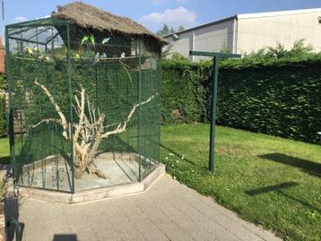 Volière Octogonale  beschikbaar voor biedingen