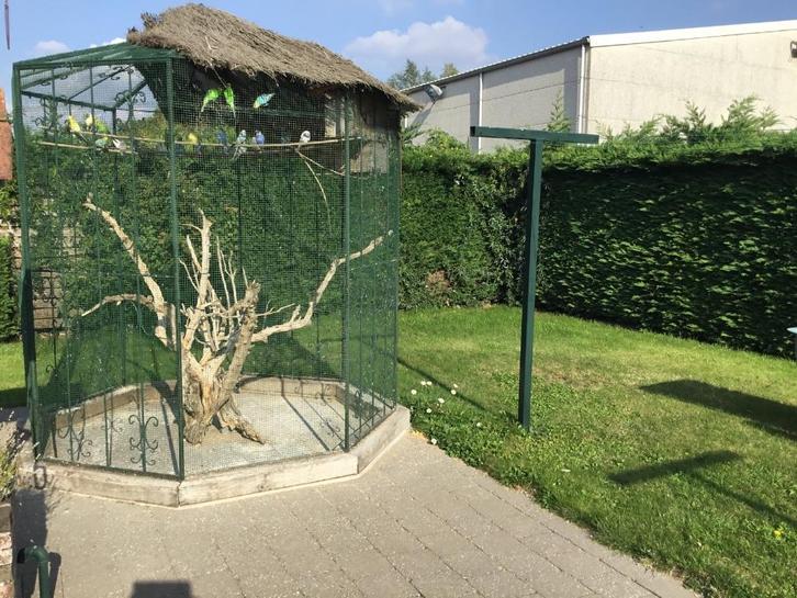 Volière Octogonale, Dieren en Toebehoren, Vogels | Hokken en Kooien, Volière, Ophalen of Verzenden