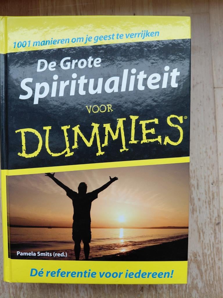 De Grote Spiritualiteit voor Dummies, Livres, Ésotérisme & Spiritualité, Enlèvement ou Envoi, Comme neuf, Spiritualité en général