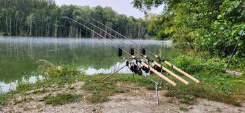 Poelirods 3x 12ft 2 3/4lb beschikbaar voor biedingen