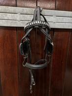 Menhoofdstel Shetlander, Dieren en Toebehoren, Ophalen of Verzenden, Gebruikt, Overige soorten