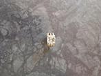 Bague Dyrberg/kern, Handtassen en Accessoires, Ringen, Ophalen