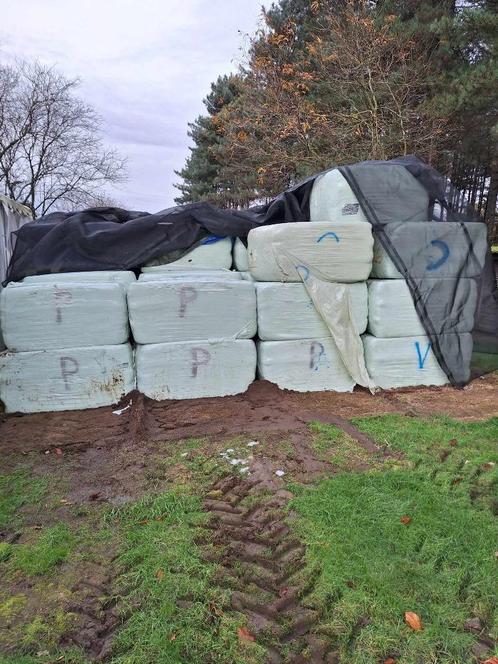 Droog hooi gewikkeld, Zakelijke goederen, Landbouw | Veevoer, Ophalen