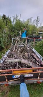 hout van de kriekenboom, Enlèvement