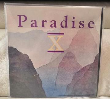 Paradise X - 2 Much / R & S Records, Belgique, Techno '1990 disponible aux enchères