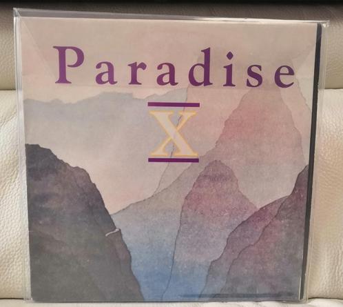 Paradise X - 2 Much / R & S Records, Belgique, Techno '1990, CD & DVD, Vinyles | Autres Vinyles, Comme neuf, 12 pouces, Enlèvement ou Envoi