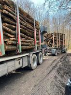 Bois de chauffage par camion complet, Tuin en Terras, Brandhout, Ophalen, Berkenhout