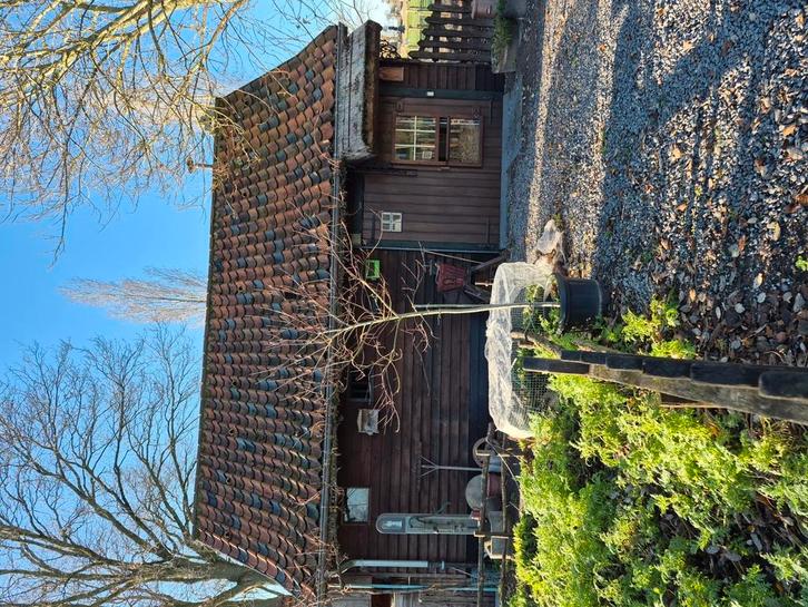 Dieren stal. Te huur., Animaux & Accessoires, Chevaux & Poneys | Guêtres en cloche, Enlèvement