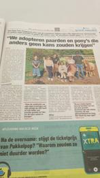 Pony pals playground zoekt hulp!!!!, Dieren en Toebehoren