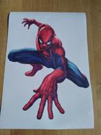 Canvas poster Spiderman, Maison & Meubles, Photo ou Poster, Moins de 50 cm, Moins de 50 cm, Enlèvement ou Envoi