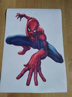 Canvas poster Spiderman, Huis en Inrichting, Minder dan 50 cm, Nieuw, Ophalen of Verzenden, Foto of Poster