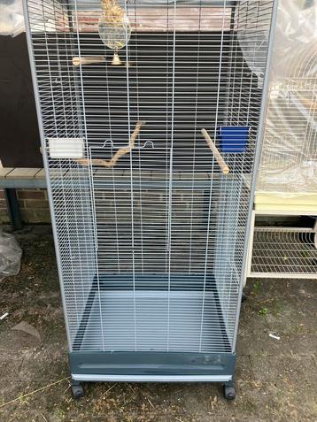 GROTE VOGELKOOI VOOR GROTE OF MEERDERE KLEINE VOGELS 100 EUR beschikbaar voor biedingen